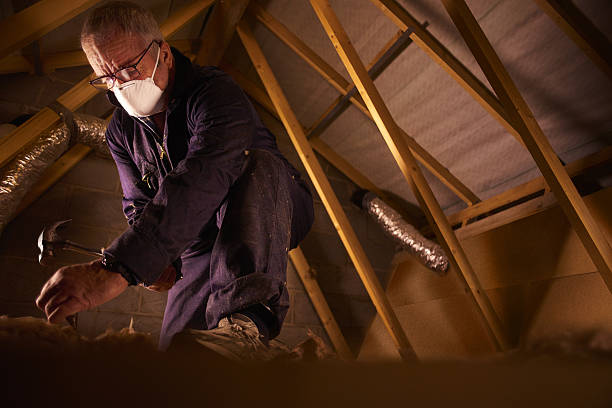 Best Commercial Insulation in Paulden, AZ